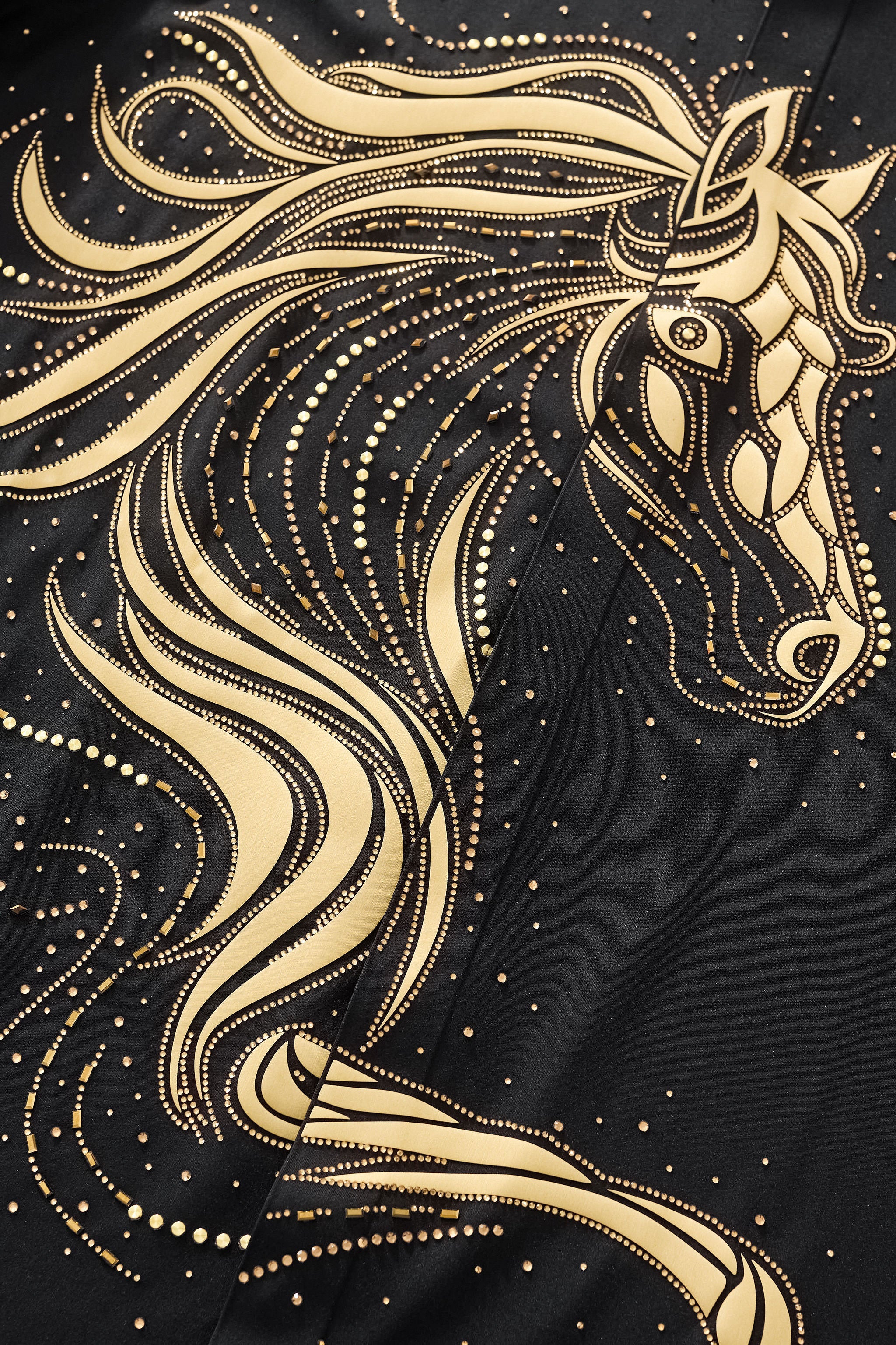 Stallion Embellished LS Shirt BLACK