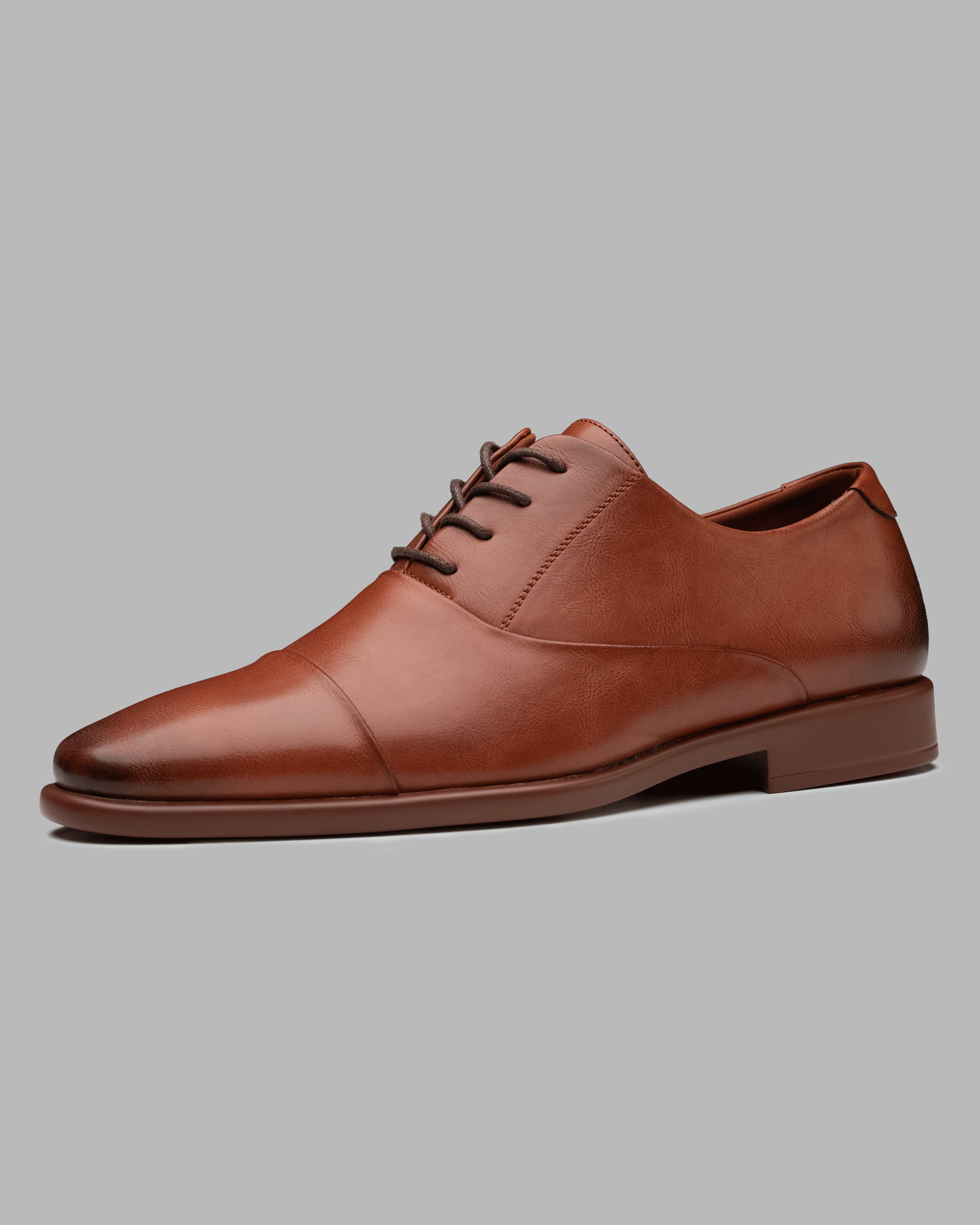 Tayno The Caprio P 6 Loafer Coffee