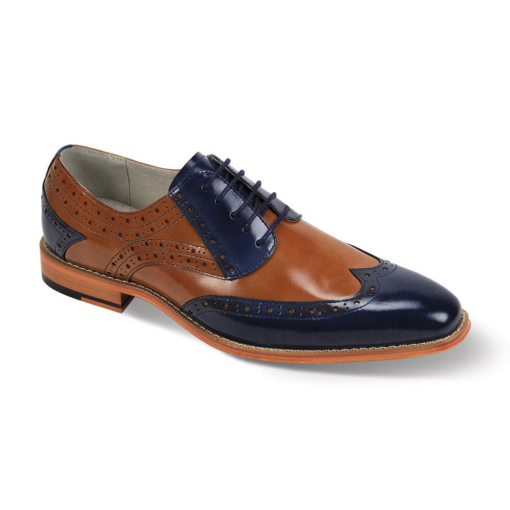 Giovanni Troy Shoes Navy/Tan