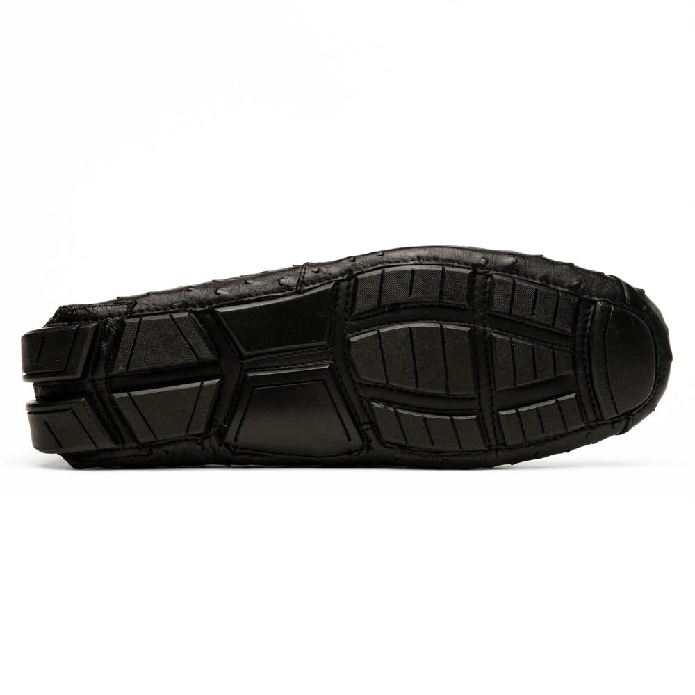 Bolonia Black