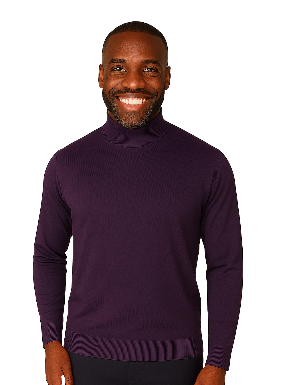 Bassiri 632 Knit Long Sleeve High Mock Neck  Purple