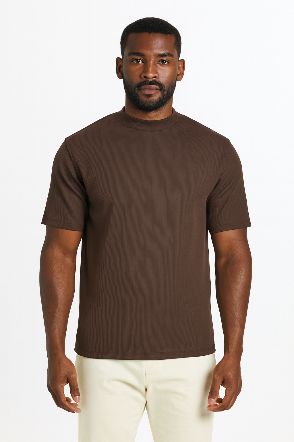 Log-In By Bassiri 218 knit Short Sleeve Mock Neck Brown