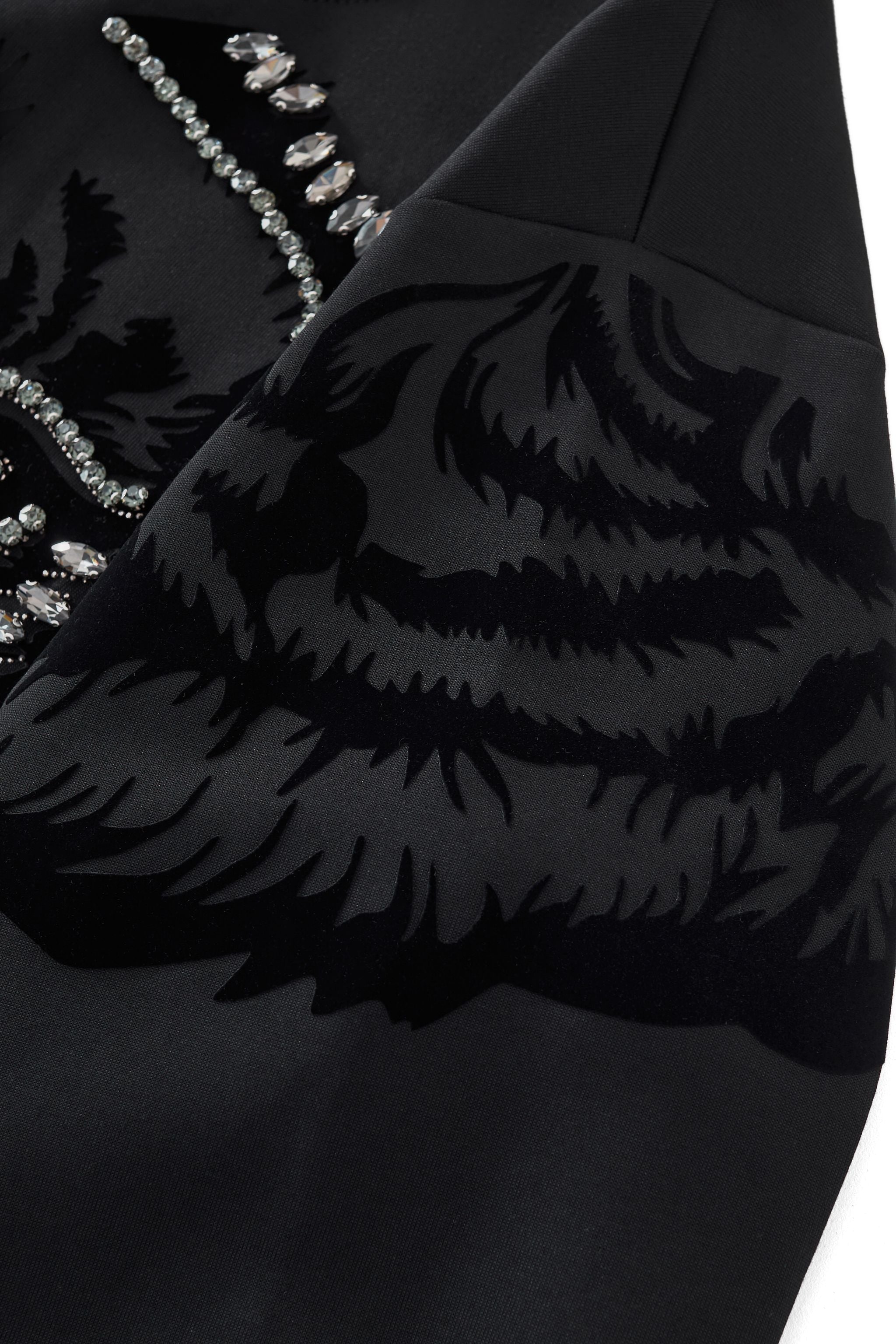 Midnight Roar Deluxe BLACK