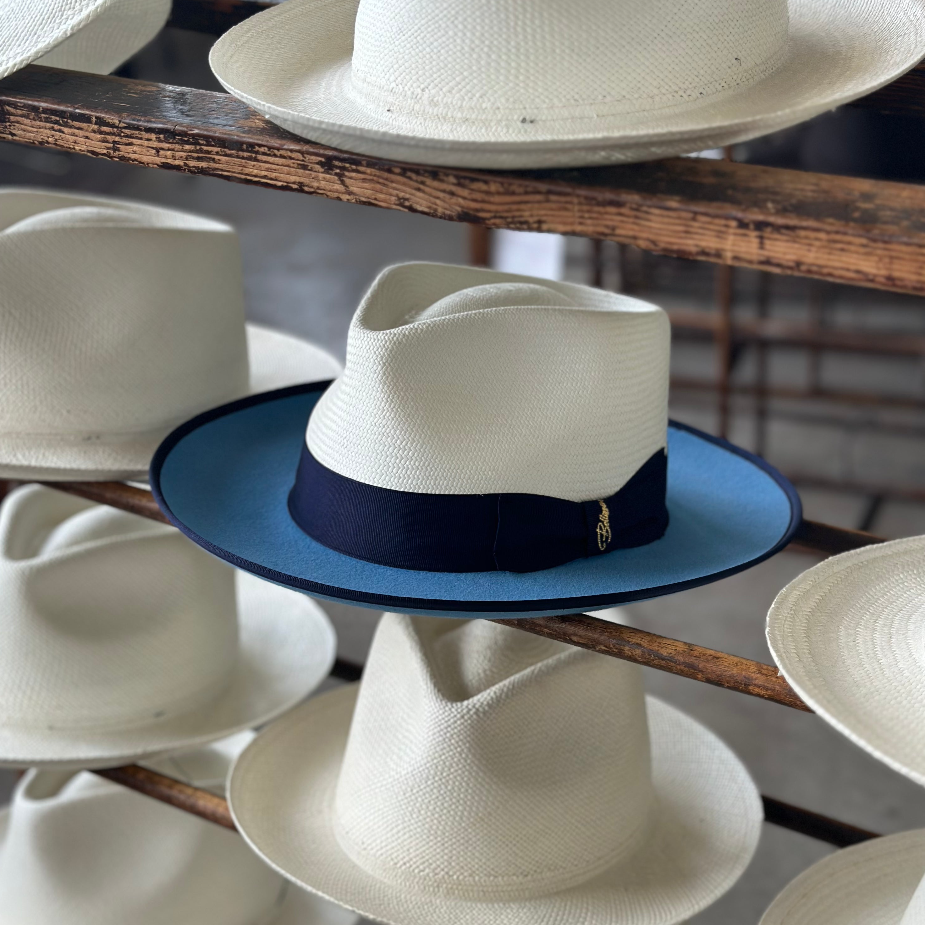 Bellissimo Exclusive Panama and Felt Two Tone Fox [Powder Blue]