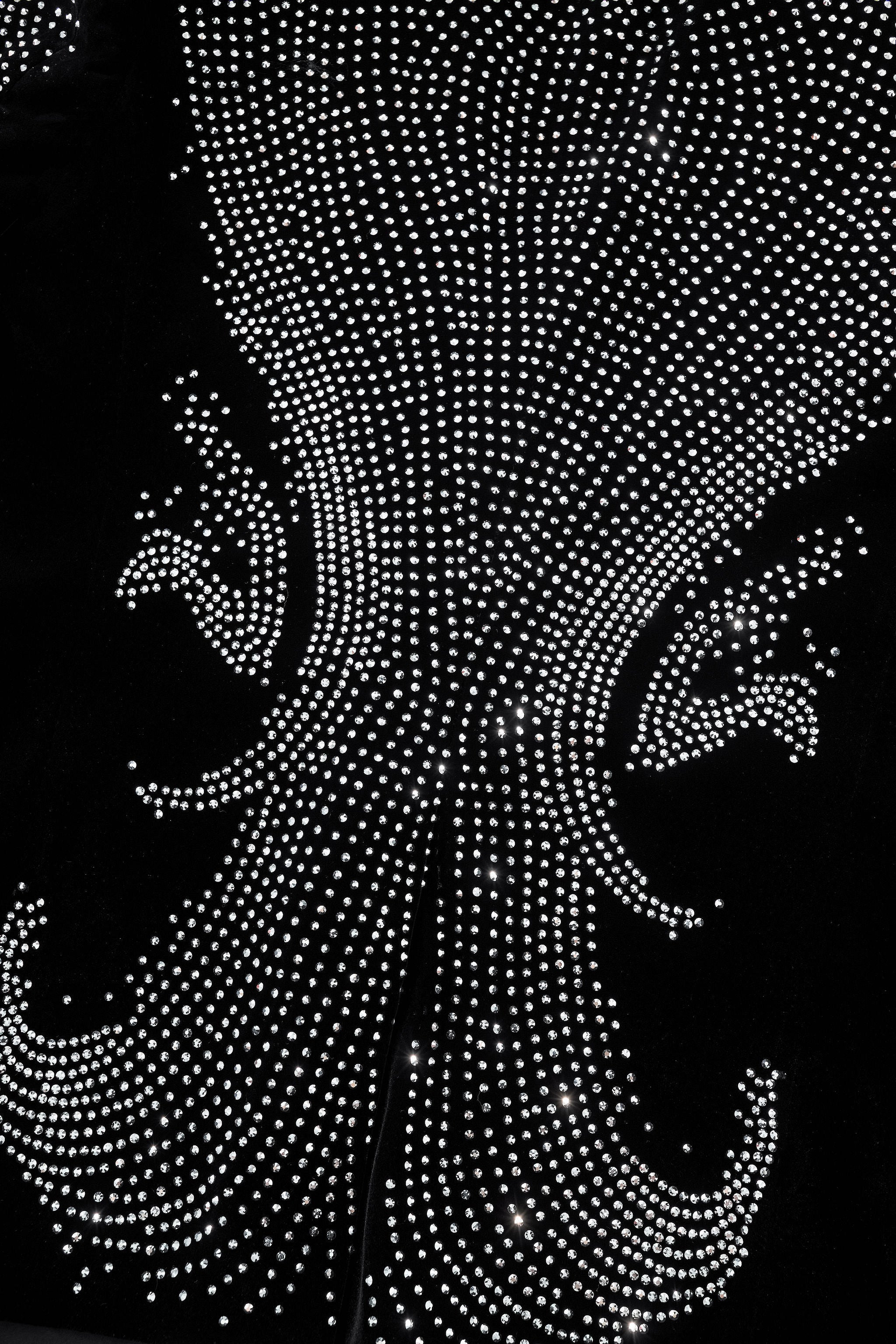 Regal Cascades Embellished Velvet Blazer BLACK/SILVER