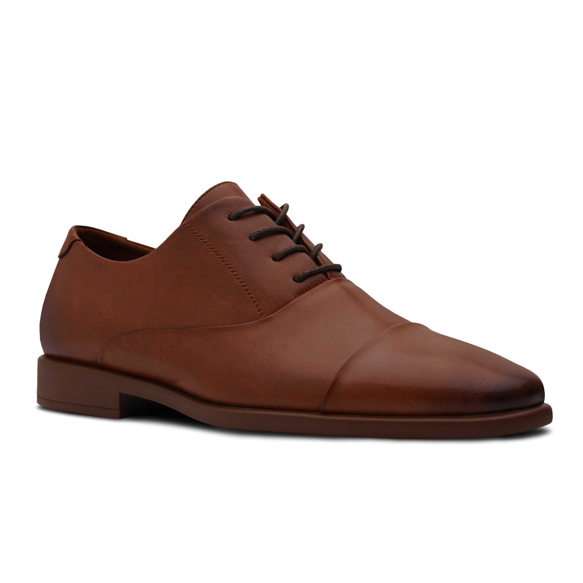 Tayno The Caprio P 6 Loafer Coffee