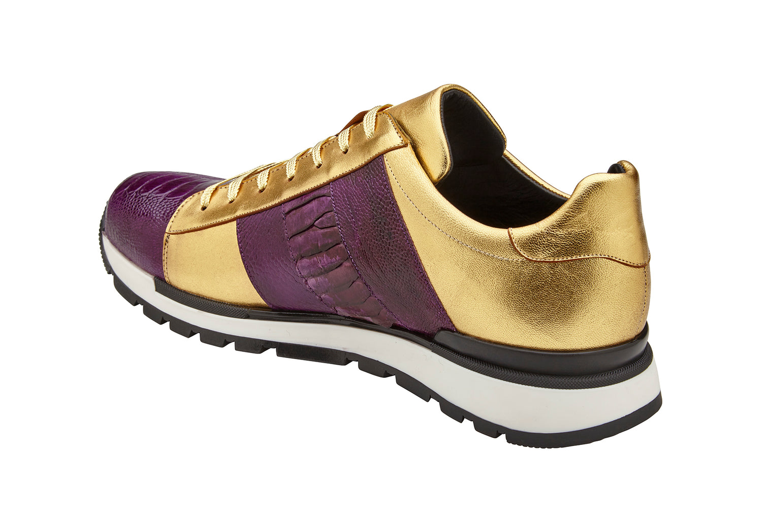 Blake - 33629 Purple/Gold-M-