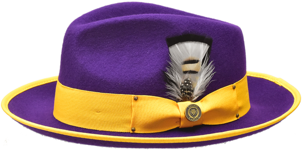 Bruno Capelo LO-203 Lorenzo Felt Hat Purple/Gold